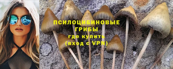 прущий лед Алексин
